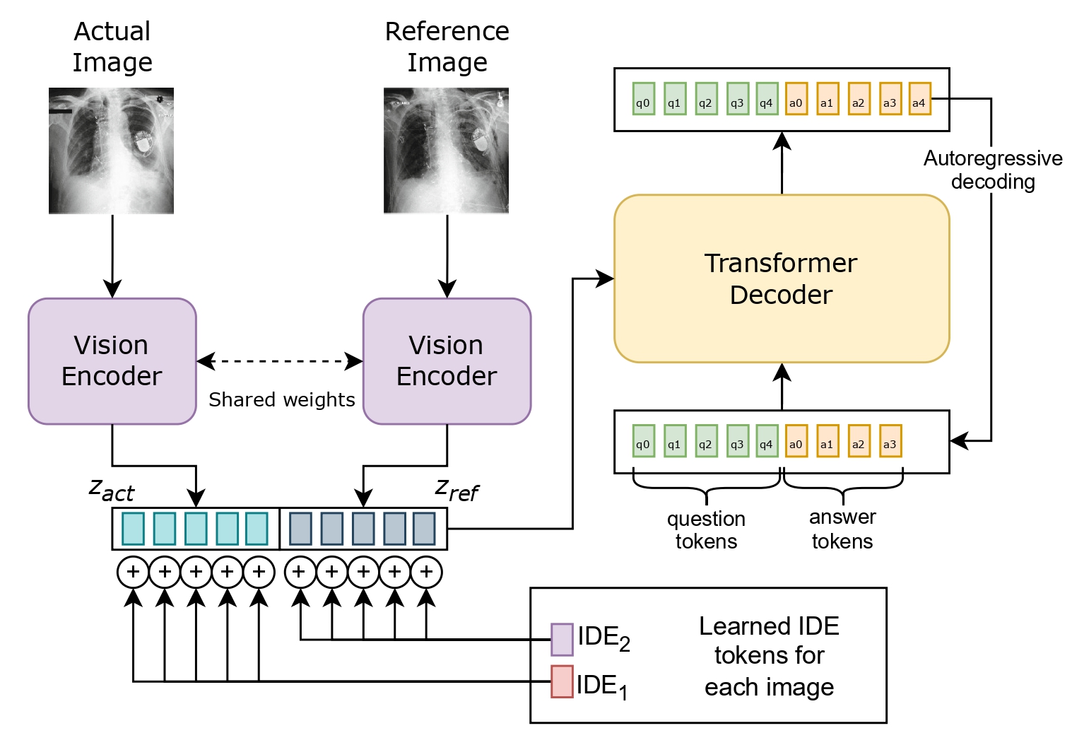 Architecture of the proposed model